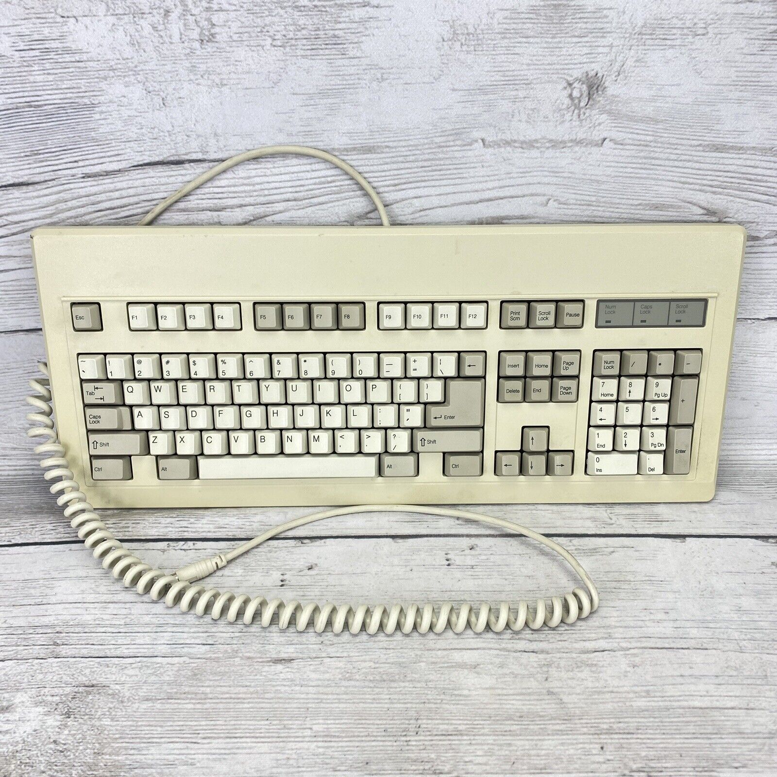 Vintage NMB RT101+ White Wired Clicky Mechanical Computer Keyboard AQ6RT101-LC