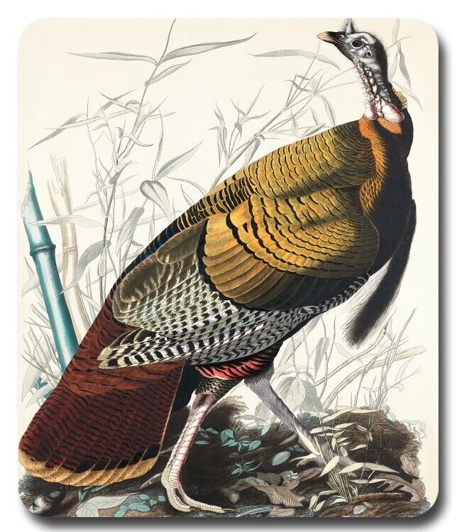 Wild Turkey Tom by John James Audubon - Mousepad / PC Mouse Pad Vintage Art Gift