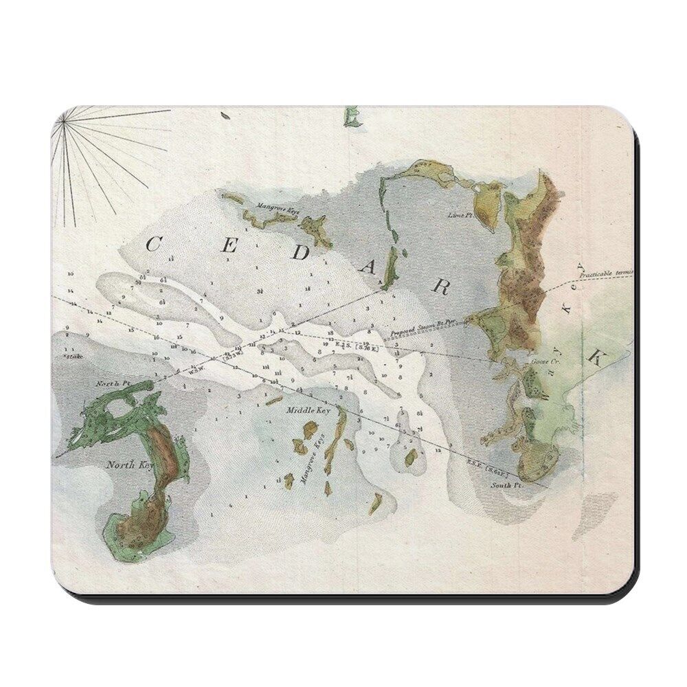 CafePress Vintage Map Of Cedar Key Florida (1852) Mousepad  (1820530926)