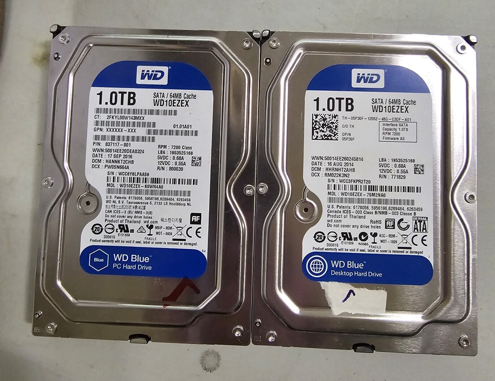 Lot of Two (2) Western Digital Blue 1.0TB Internal Desktop Hard Drive (WD10EZEX)