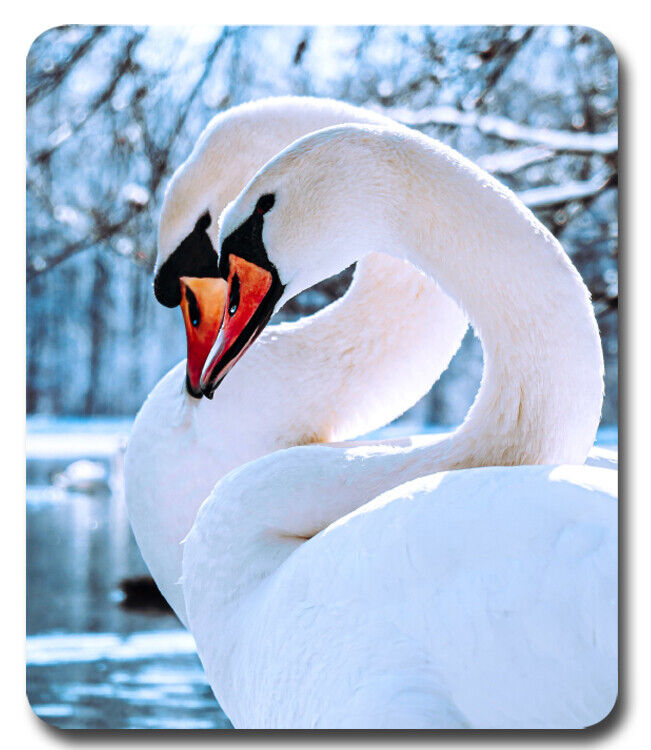 Couple of Beautiful Swans ~ Mousepad / PC Mouse Pad ~ Gifts Water Birds Outdoors