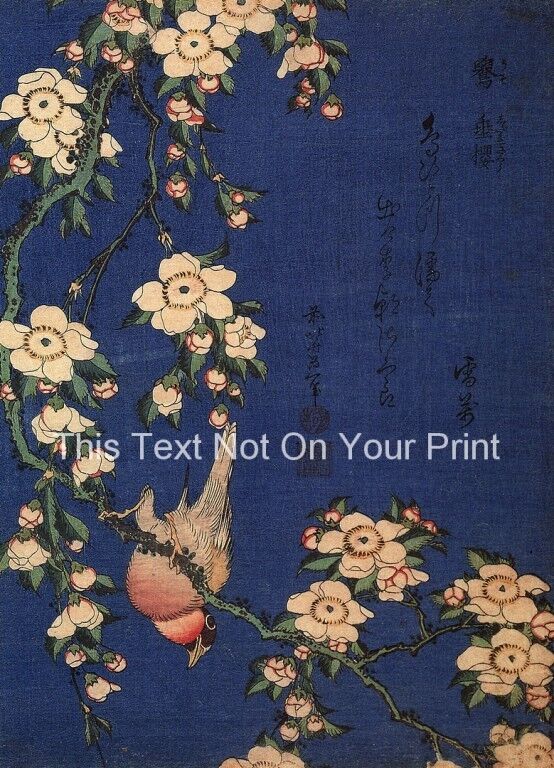 Weeping Cherry & Bullfinch Repro Japanese Woodblock Poster Katsushika Hokusai