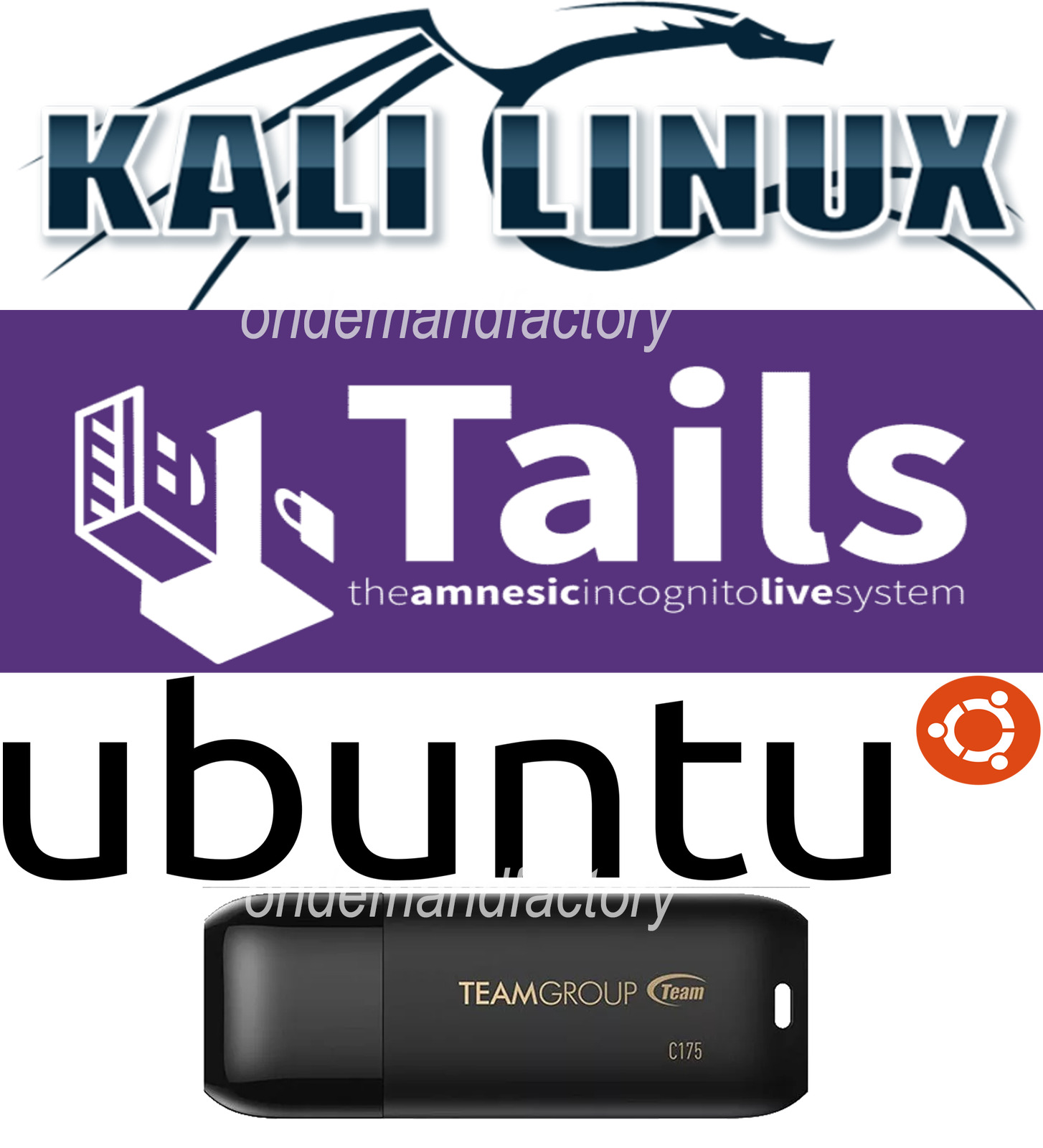 Tails 6.2 Kali 2024.1 Ubuntu 24.04 Multiboot NEW FAST 32 Gb 3.2 Live USB Linux