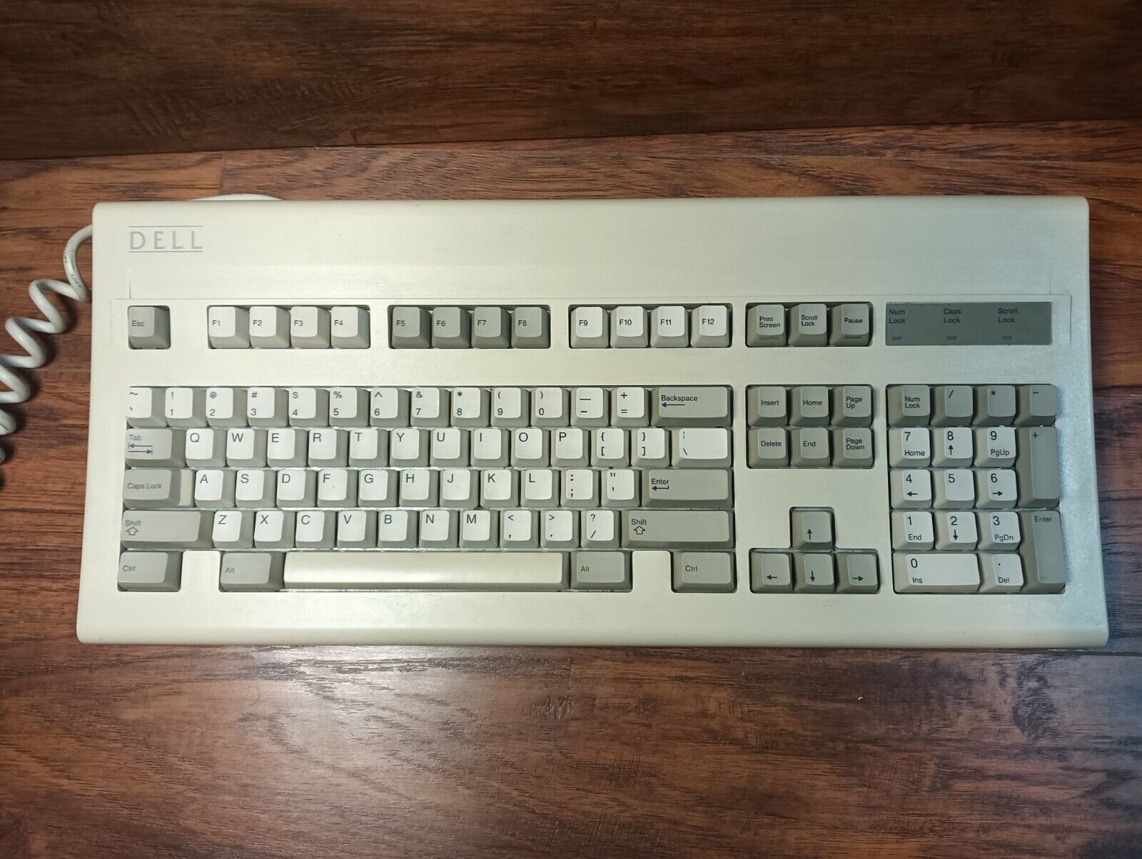Very Rare Dell Keyboard Old Logo Pink ALPS GYIAT101-102 Model AT101 USA Made Vgt