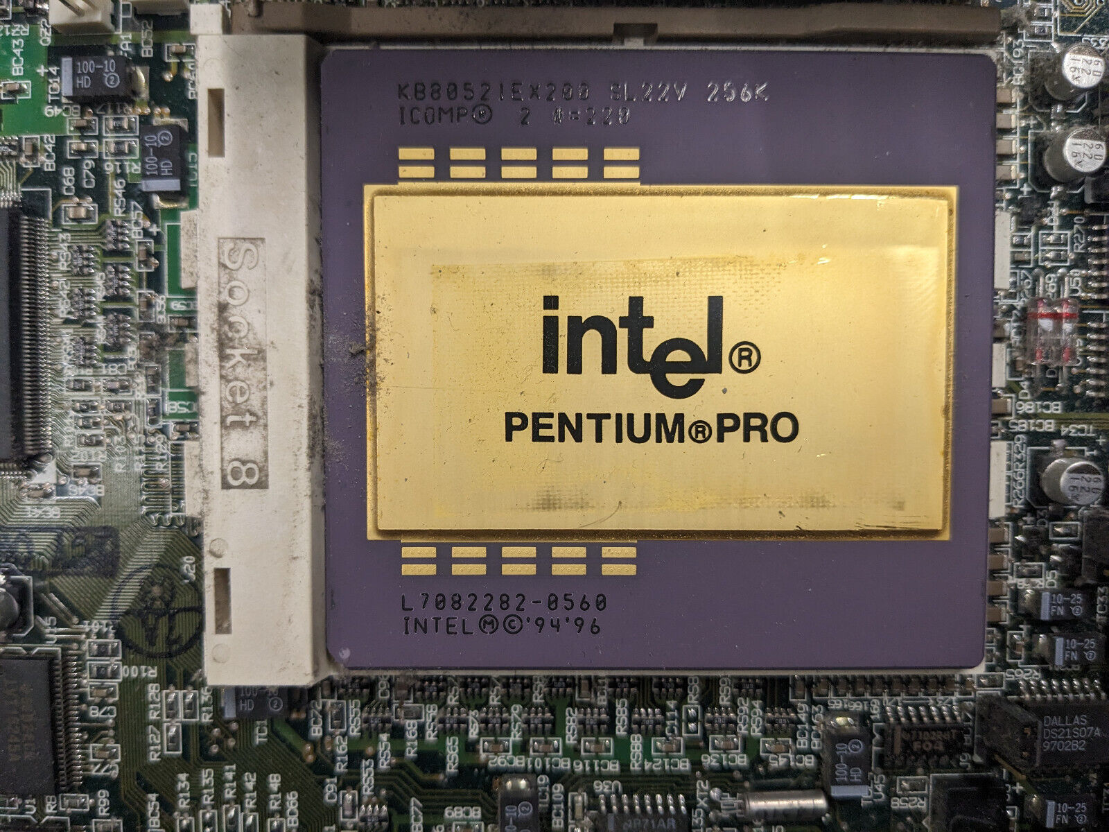 SL22Z Intel Pentium Pro 200 MHz 256K KB80521EX200 Socket 8 Gold Rare Vintage