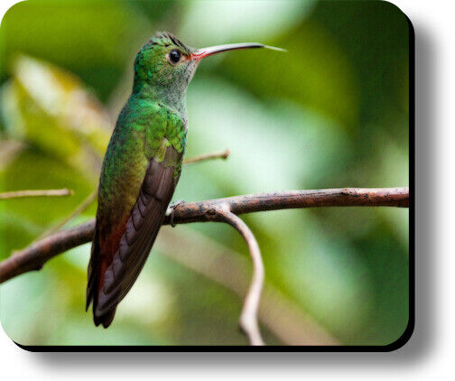 Decorative Mouse Pad Art Print Hummingbird Non-Slip 1/8in or 1/4in Thick