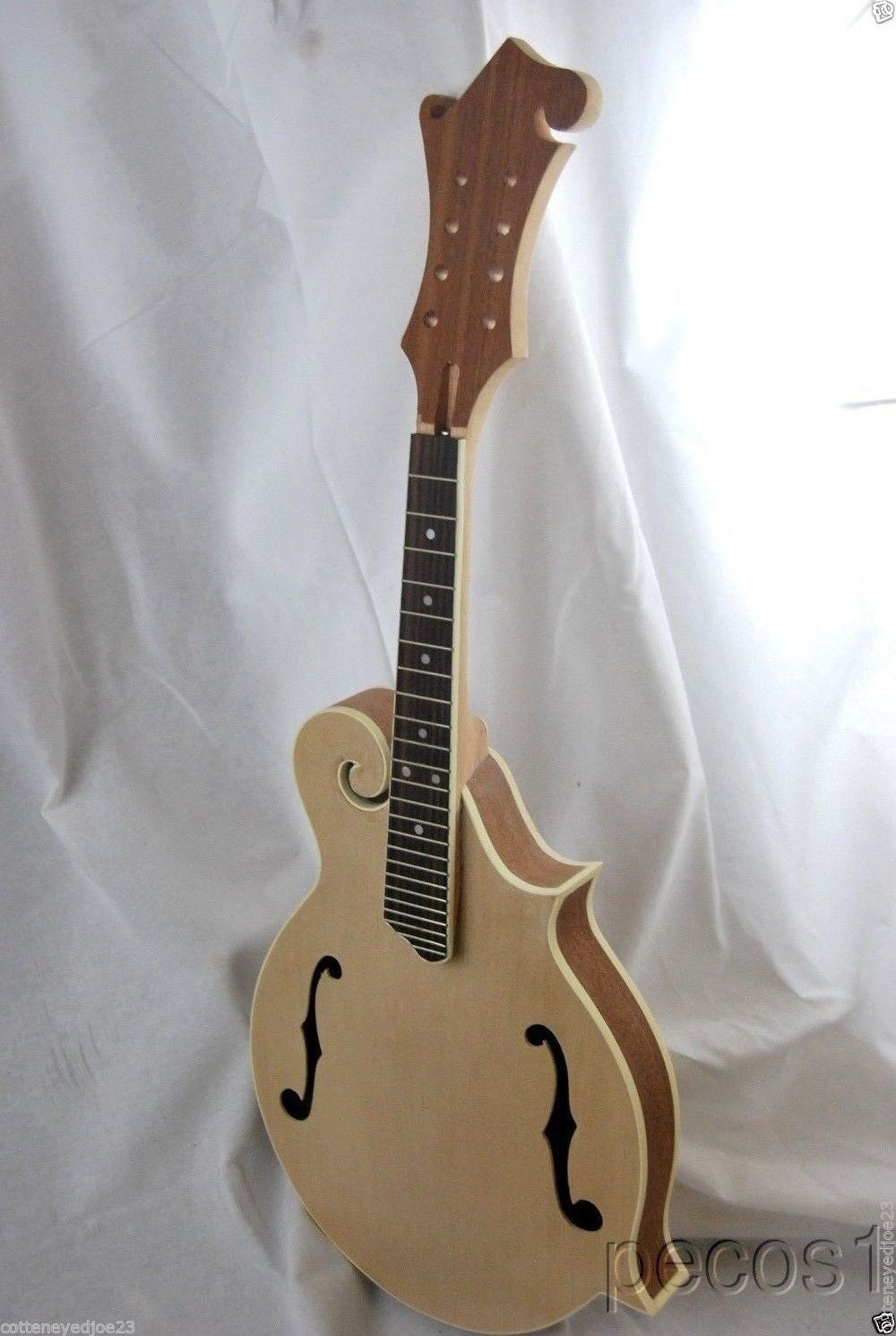 SOLID KENTUCKY STYLE LUITHIER DO IT YOURSELF ACOUSTIC F-MODEL MANDOLIN