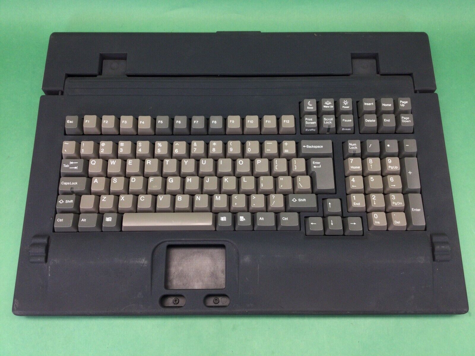 Sterling Computer Vintage Mechanical Clicky Keyboard - Alps Switches ?