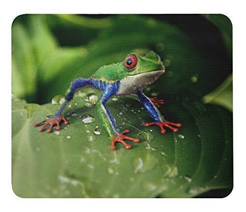 Akame Tree Frog Mouse Pad 2 Photopad Frogs of the World series A