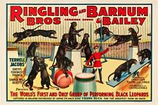 Circus Ringling Brothers 1933 Mousepad 7 x 9 Vintage Photo mouse pad art picture