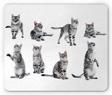 Ambesonne Cat Lover Mousepad Rectangle Non-Slip Rubber picture