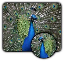 Gorgeous Colorful Peacock Bird - Mouse Pad + Coaster -1/4