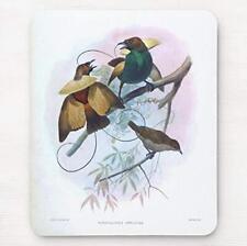 Bird of Paradise Mouse Pad Photo Pad 2 Wild Birds of the World Series picture