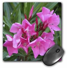 3dRose Image of a pink Oleander flower MousePad picture