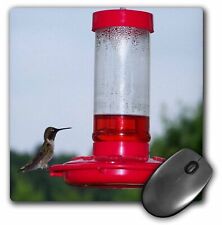 3dRose Image of a Hummingbird On Feeder MousePad picture