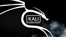 Kali Installation/Update Service (Kali Linux, Kali Nethunter) picture