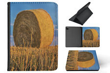 CASE COVER FOR APPLE IPAD|FARM FIELD OF HAYSTACKS #2 picture