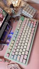 「Fully Assembled」Pink Green Cute Cat Ears Pastel Customized Mechanical Keyboard picture