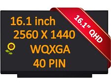 165hz Display for HP Omen 16-k0033dx LCD LBL 16.1