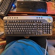 DELL RT7D30 MULTI - MEDIA KEYBOARD, PS/2, BLACK AND SILVER. picture