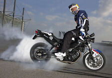 Cars 2010 bmw f800r chris pfeiffer edition burnout Gaming Desk Mat picture