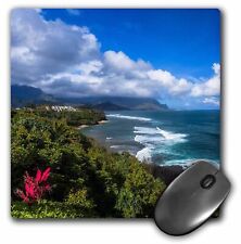 3dRose Northern coastline of the Hawaiian island of Kauai near Princeville. Mous picture