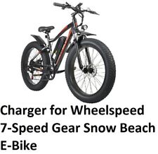 🔥power supply battery Charger for Wheelspeed 7-Speed Gear Snow Beach E-Bike picture