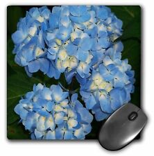 3dRose Blue And Yellow Hydrangea Clusters MousePad picture
