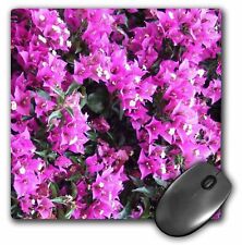 3dRose Image of Magenta pink Bougainvillea flowers bright purple climbing floral picture