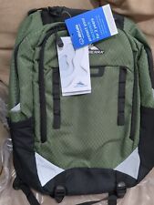Brand New with tag High Sierra Litmus Backpack + FREEBIES picture