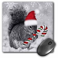 3dRose This cute Christmas squirrel has a candy cane and a Santa hat in the snow picture