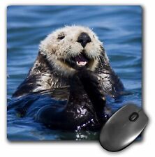 3dRose California Sea Otter, Moss Landing, California - US05 JGS0198 - Jim Golds picture