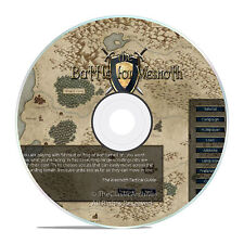 THE AGE OF STRATEGY GAME, ROLE PLAYING IN THE BATTLE FOR WESNOTH ON YOUR PC picture