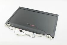 Genuine IBM Lenovo ThinkPad T520 Laptop Complete LCD Screen W/ Hinges 04W1565 picture