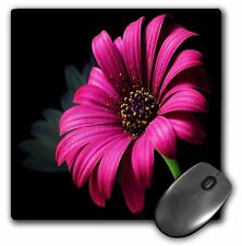 3dRose Hot Pink Daisy On Black MousePad picture