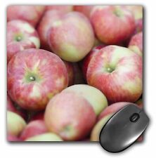 3dRose Washington, Lake Chelan, Honeycrisp apples agriculture - US48 RTI0163 - R picture