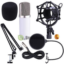 PROFESSIONAL Audio Condenser Microphone Kit Vocal Studio Recording Set Stand USA picture