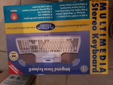 NEW Platinum sound multimedia stereo keyboard msk 200 SUPER RARE COLLECTABLE picture