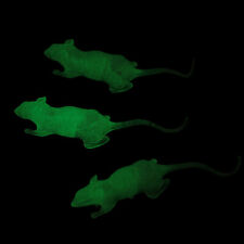 20 Pcs Mouse Plastic Child Halloween Rats Decorations Model Toy Glowing Fake picture