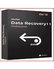 Stellar Data Recovery Standard for Windows | Email Delivery | Digital Download picture