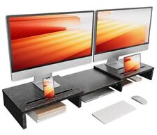 LORYERGO Dual Monitor Stand for Desk, Monitor Stand with 2 Slots for Black picture