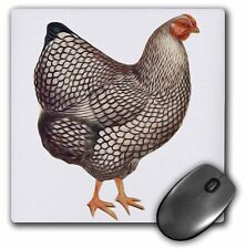 3dRose Vintage Bird Illustration Faux Oil Painting Effect Chicken Hen MousePad picture