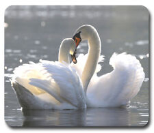 Pair of Beautiful Swans ~ Mousepad / PC Mouse Pad ~ Gifts Water Birds Outdoors picture