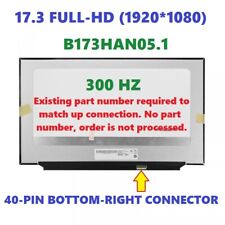 300Hz FHD IPS 17.3