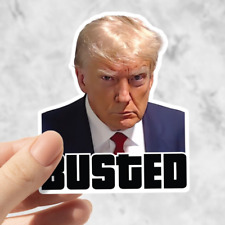 Donald Trump Mugshot  - Waterproof Sticker for Laptop, Politics, Lock Him Up picture