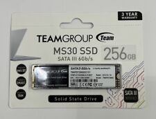 TeamGroup MS30 TM8PS756G0C101 256GB SATA III SSD 6GB/s NVMe picture