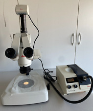 Leica  MZ12.5   Zoom Stereo Microscope picture