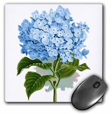 3dRose Blue hydrangea flowers vintage art - floral drawing - summery - flowery s picture