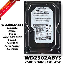 Western Digital 250GB 3.5