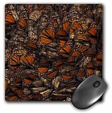 3dRose Mexico. Monarch Butterfly (Danaus plexippus) - SA13 GJE0047 - Gavriel Jec picture